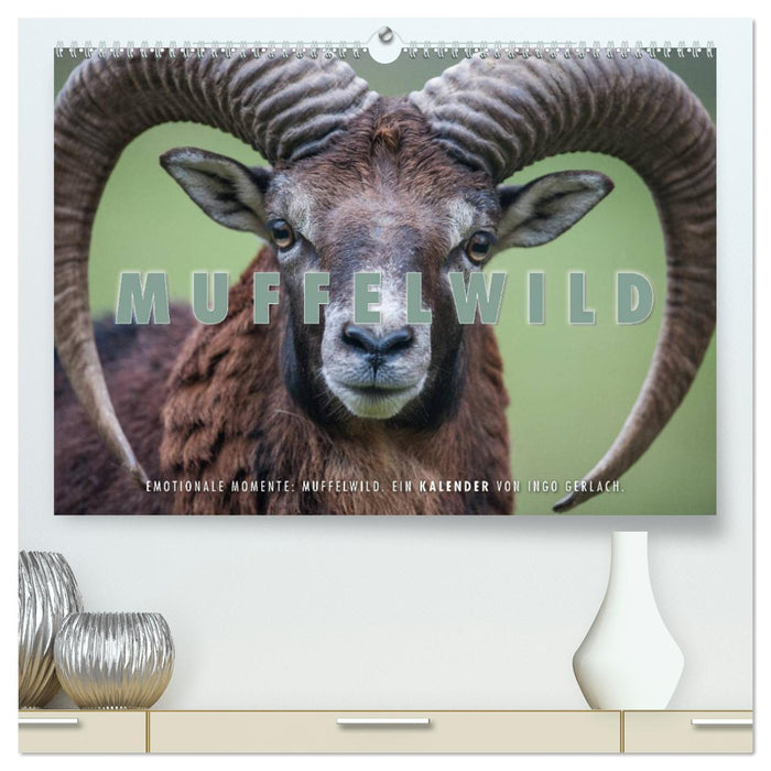 Moments d'émotion : mouflon. (Calendrier mural CALVENDO Premium 2024) 