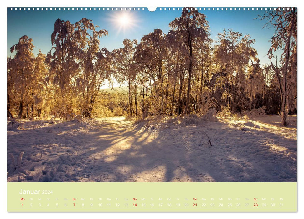 Zauberwälder - Flüstern der Natur (CALVENDO Premium Wandkalender 2024)