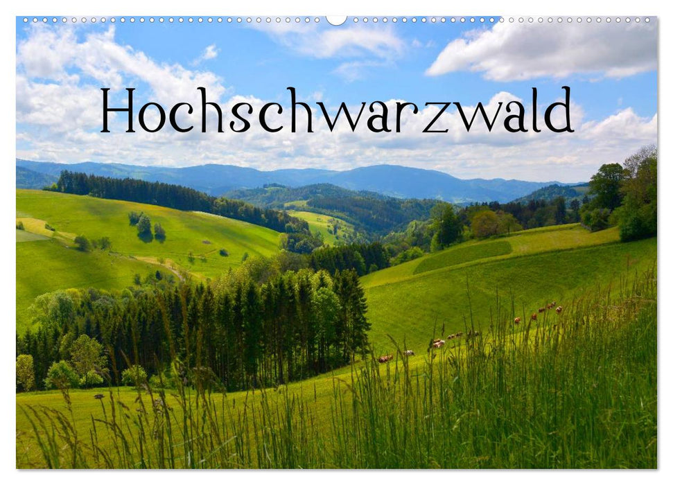 Hochschwarzwald (CALVENDO Wandkalender 2024)