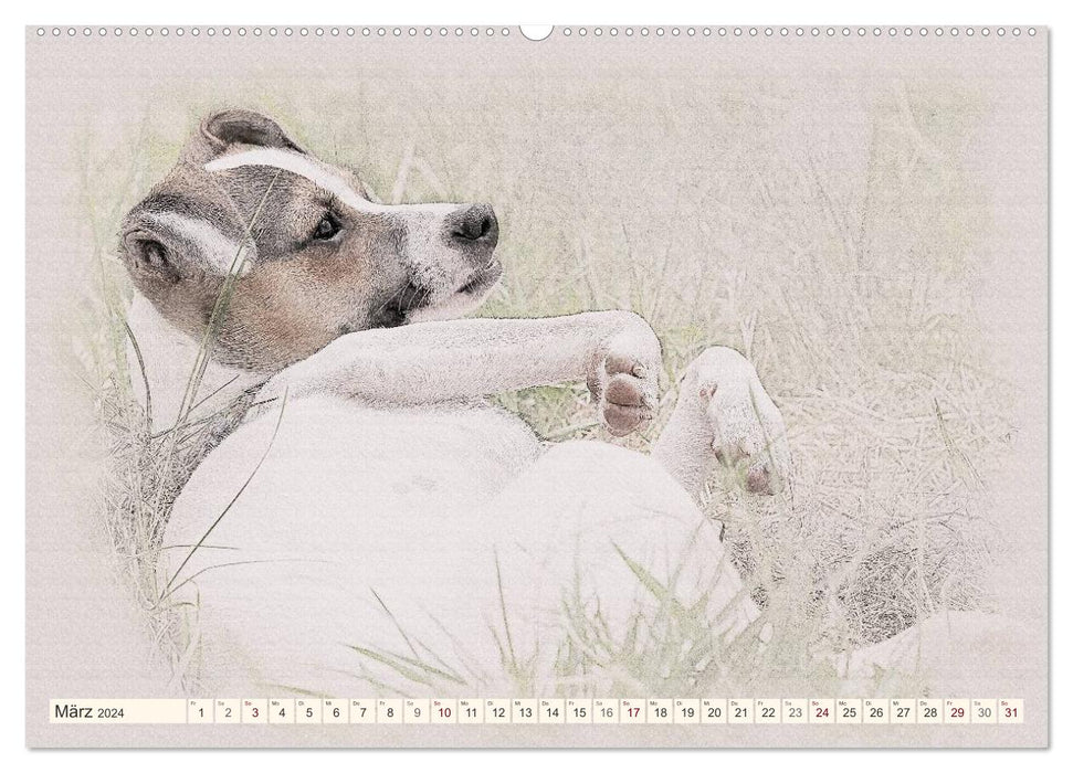 Bodeguero Andaluz 2024 (CALVENDO Premium Wall Calendar 2024) 