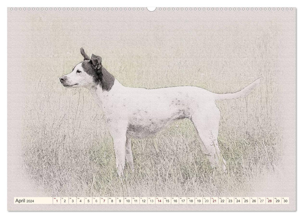 Bodeguero Andaluz 2024 (CALVENDO Premium Wandkalender 2024)