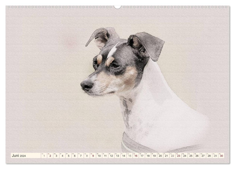 Bodeguero Andaluz 2024 (CALVENDO Premium Wall Calendar 2024) 