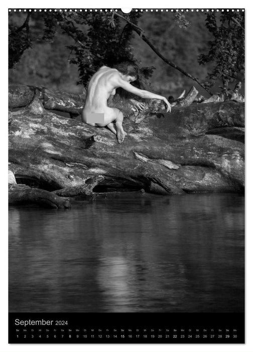 simbiosa ... Artistic Nude Photography 2024 (CALVENDO Wall Calendar 2024) 