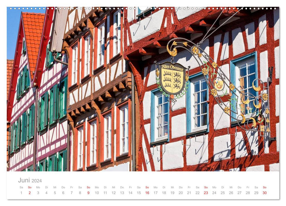 SWABISCHE ALB W.Dieterich (CALVENDO wall calendar 2024) 