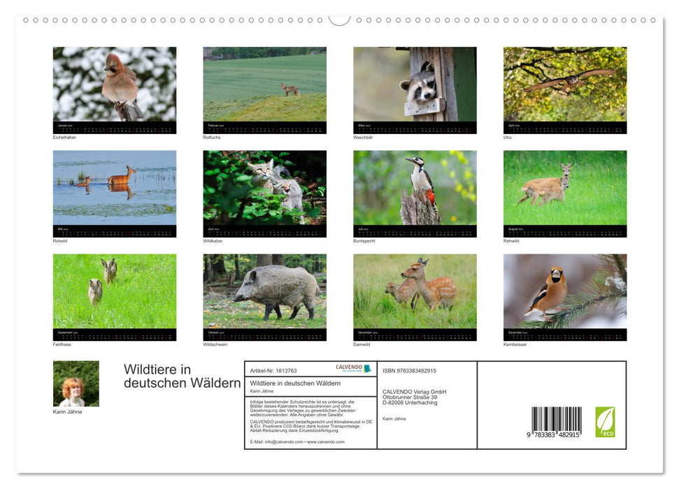 Wild animals in German forests (CALVENDO Premium Wall Calendar 2024) 