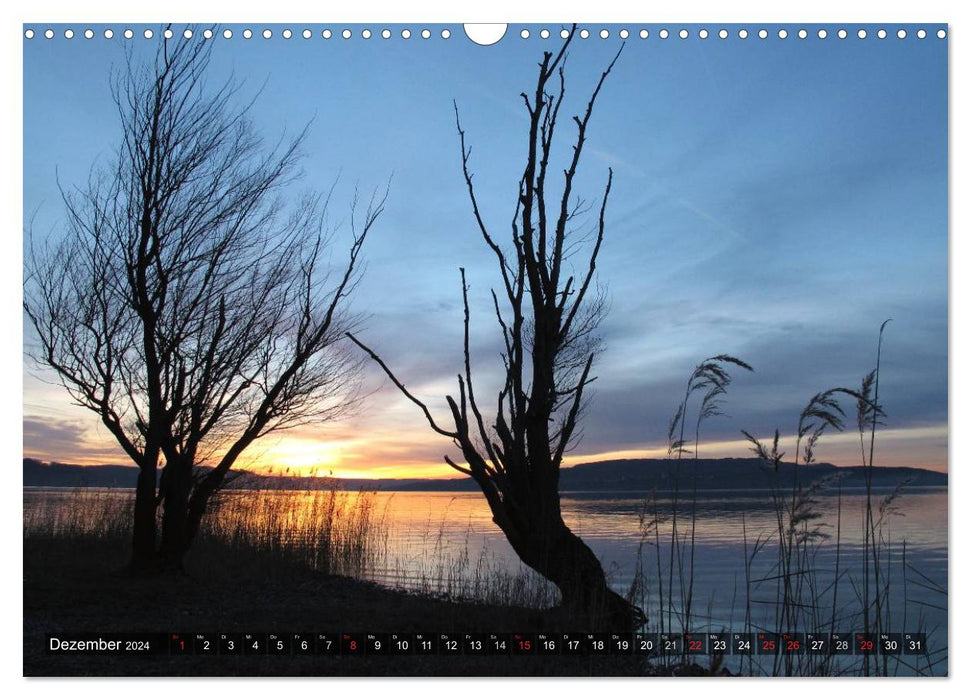 Magical Lake Constance (CALVENDO wall calendar 2024) 