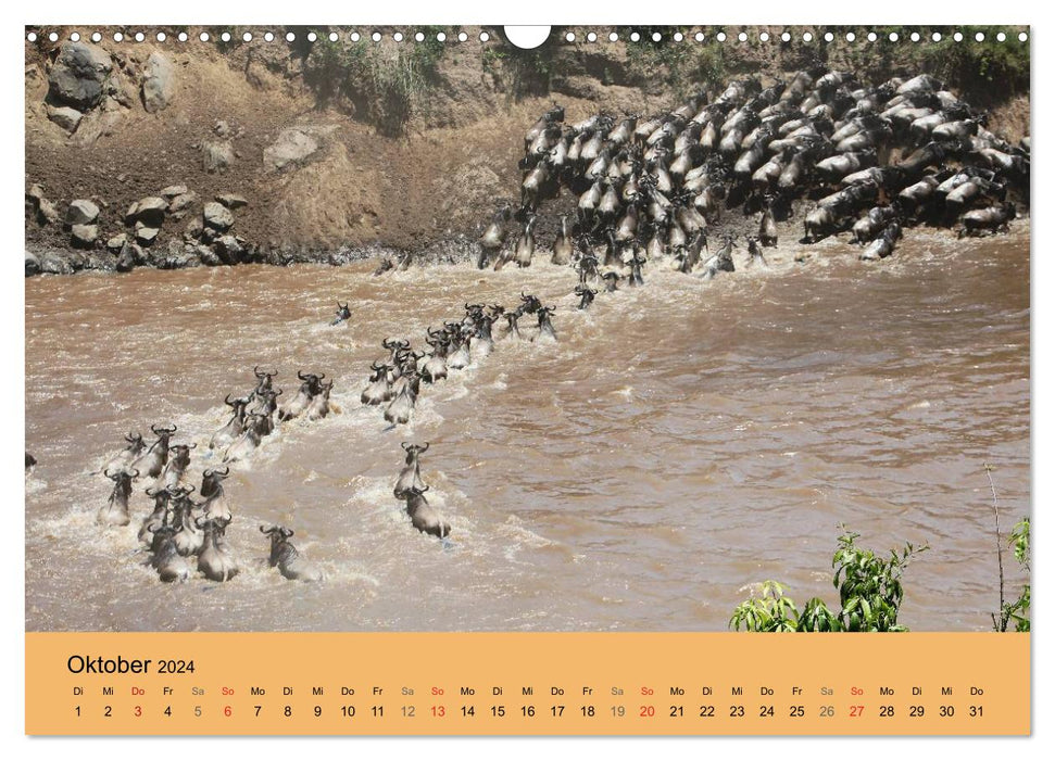 Wildnis Kenia 2024 (CALVENDO Wandkalender 2024)