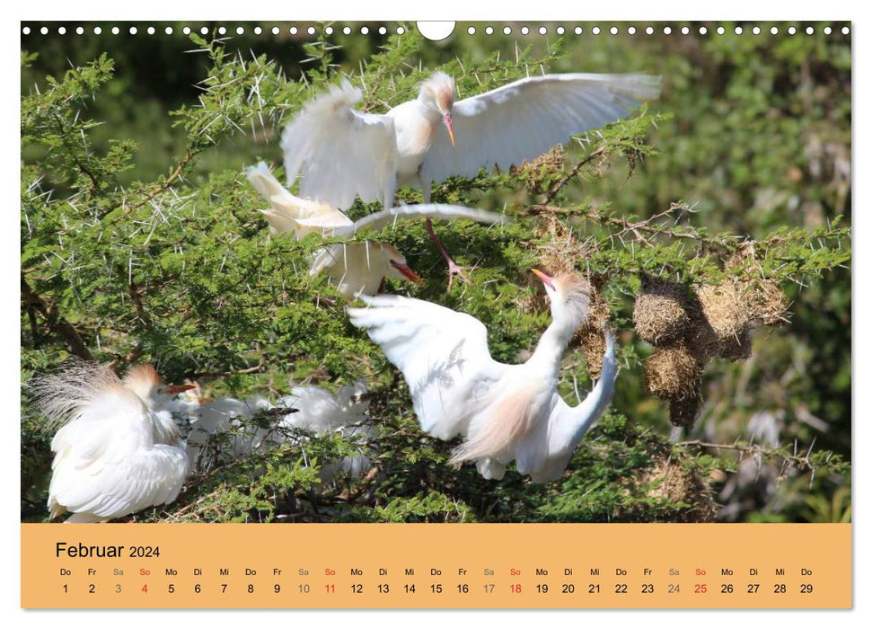 Wilderness Kenya 2024 (CALVENDO wall calendar 2024) 