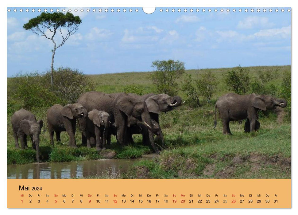Wilderness Kenya 2024 (calendrier mural CALVENDO 2024) 