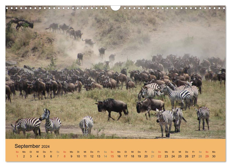 Wilderness Kenya 2024 (CALVENDO wall calendar 2024) 