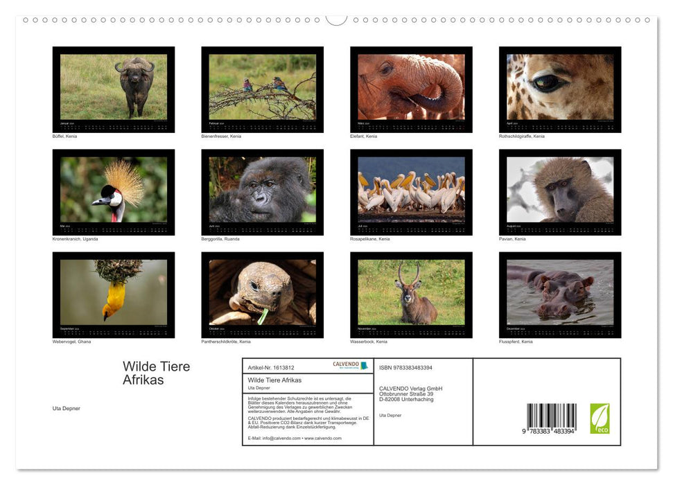 Wild Animals of Africa (CALVENDO Premium Wall Calendar 2024) 