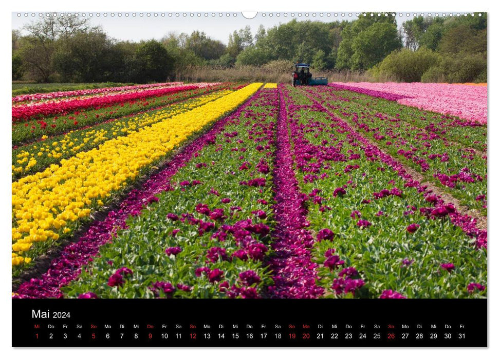 Ein fotografischer Streifzug durch Holland (CALVENDO Wandkalender 2024)