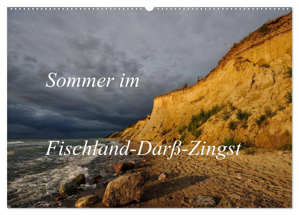 L'été à Fischland-Darß-Zingst (calendrier mural CALVENDO 2024) 