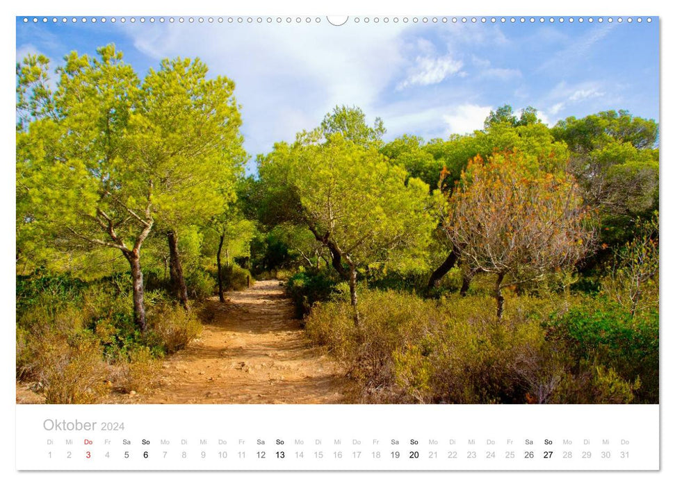 MENORCA 2 - landscape photographs by Niko Korte (CALVENDO wall calendar 2024) 