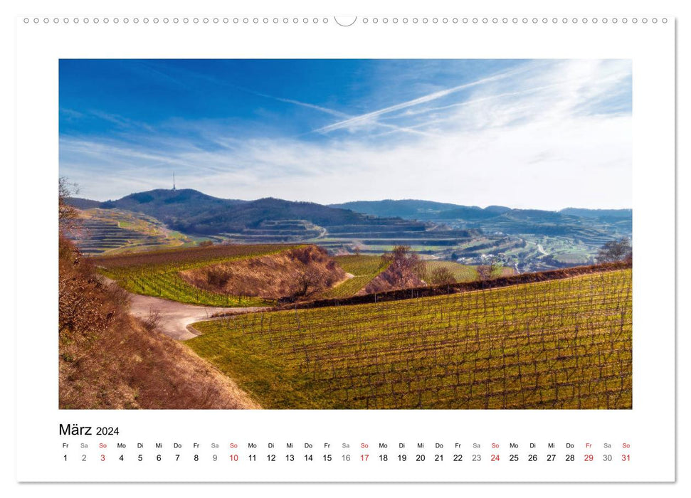 On Schuster's black horse... Southern Upper Rhine and Southern Black Forest (CALVENDO Premium Wall Calendar 2024) 