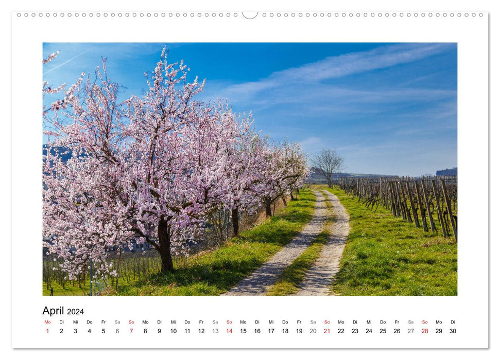 Auf Schusters Rappen... Südlicher Oberrhein und Südschwarzwald (CALVENDO Premium Wandkalender 2024)
