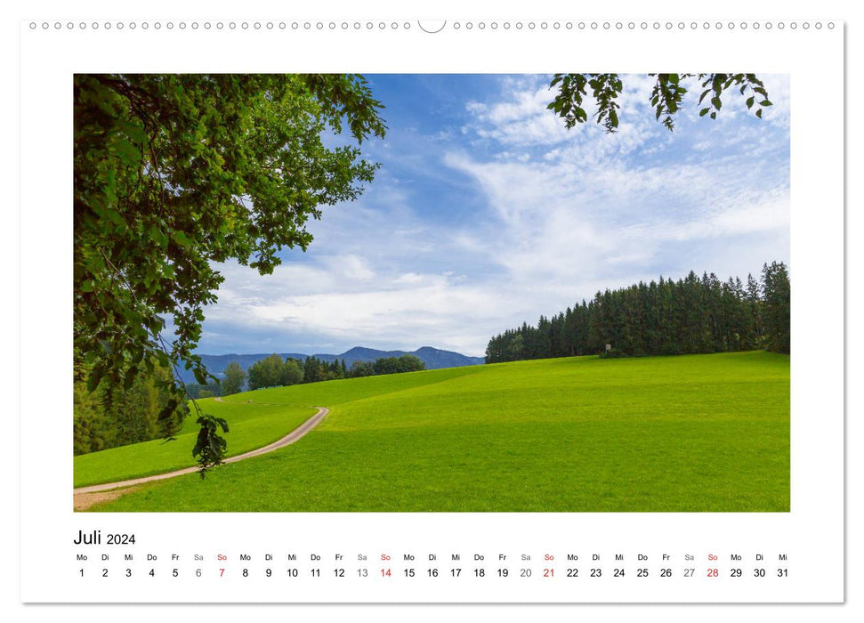 On Schuster's black horse... Southern Upper Rhine and Southern Black Forest (CALVENDO Premium Wall Calendar 2024) 