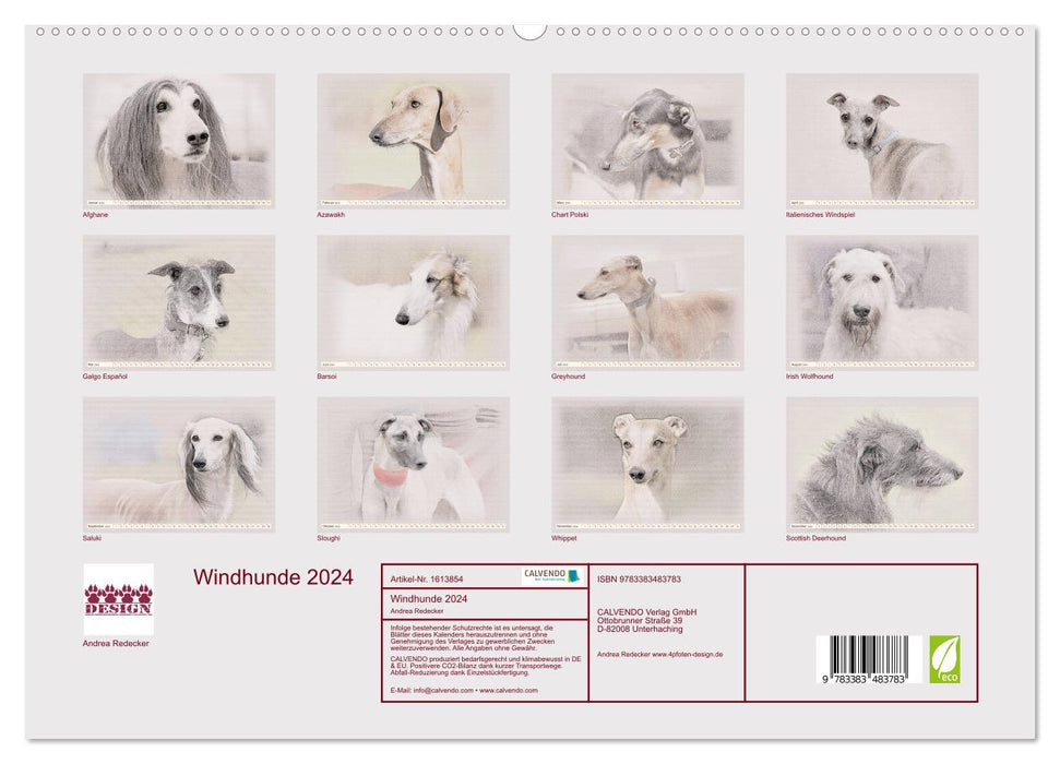 Windhunde 2024 (CALVENDO Premium Wandkalender 2024)