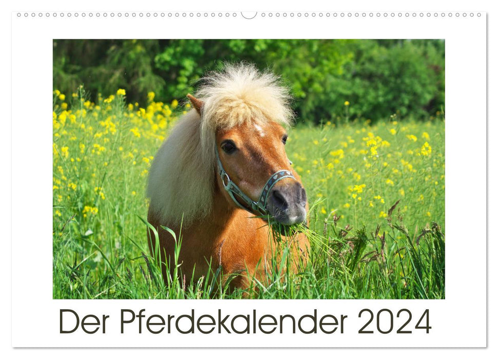 Le calendrier du cheval (calendrier mural CALVENDO 2024) 