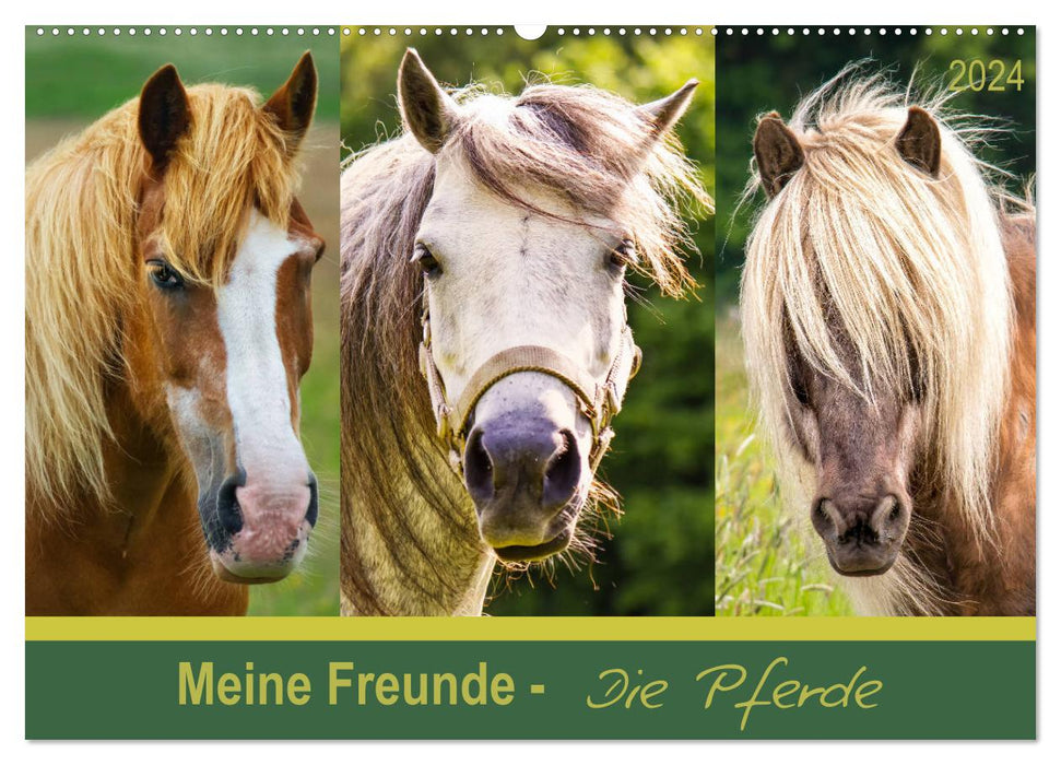 Mes amis - les chevaux (Calendrier mural CALVENDO 2024) 