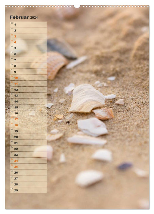 Between dunes and mudflats / birthday calendar (CALVENDO Premium Wall Calendar 2024) 
