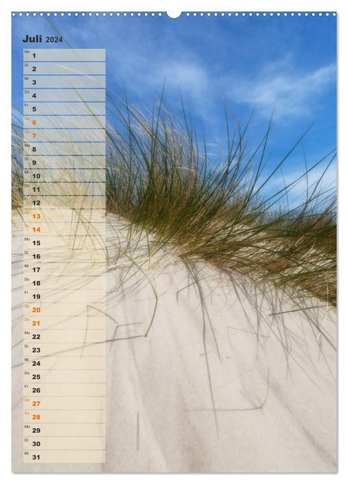 Zwischen Dünen und Watt / Geburtstagskalender (CALVENDO Premium Wandkalender 2024)