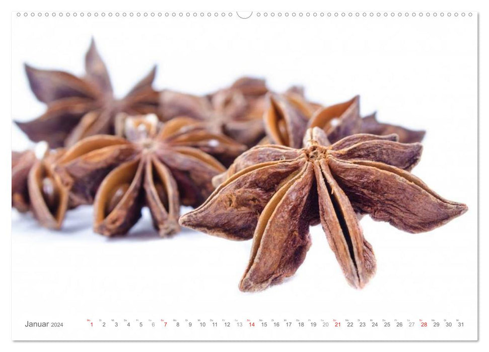 Spices • delicious and healthy (CALVENDO Premium Wall Calendar 2024) 