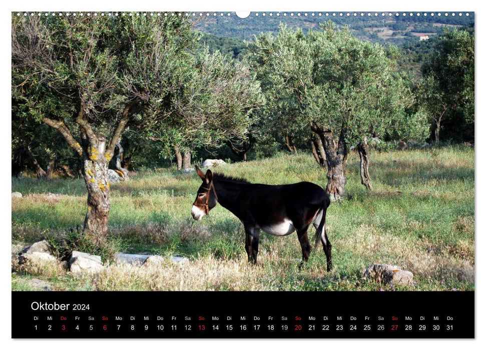 Greece - Lesbos Island (CALVENDO Premium Wall Calendar 2024) 