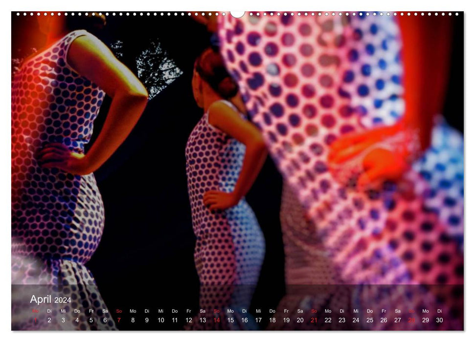 Flamenco - Tanz der Leidenschaft (CALVENDO Premium Wandkalender 2024)