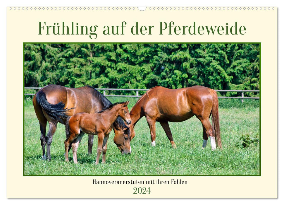 Frühling auf der Pferdeweide (CALVENDO Wandkalender 2024)