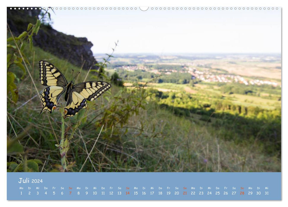 The Walberla - The local mountain of the Franconians (CALVENDO Premium Wall Calendar 2024) 