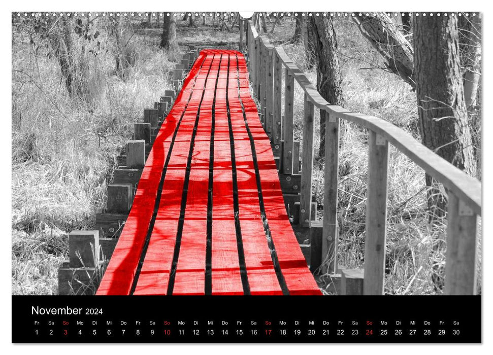 Blickfang in Rot (CALVENDO Premium Wandkalender 2024)