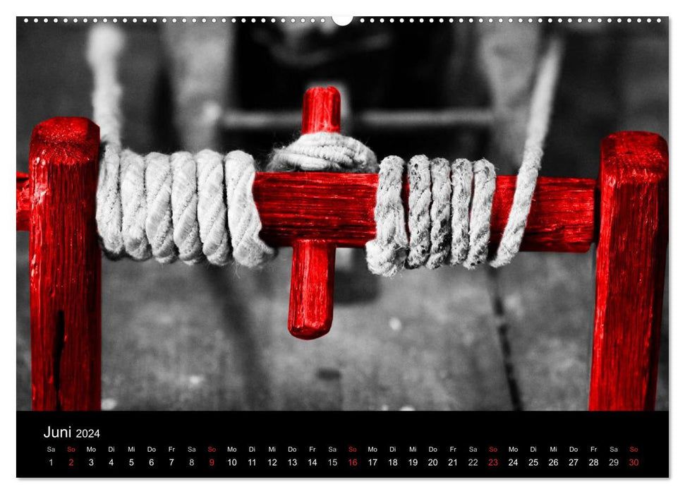 Blickfang in Rot (CALVENDO Premium Wandkalender 2024)