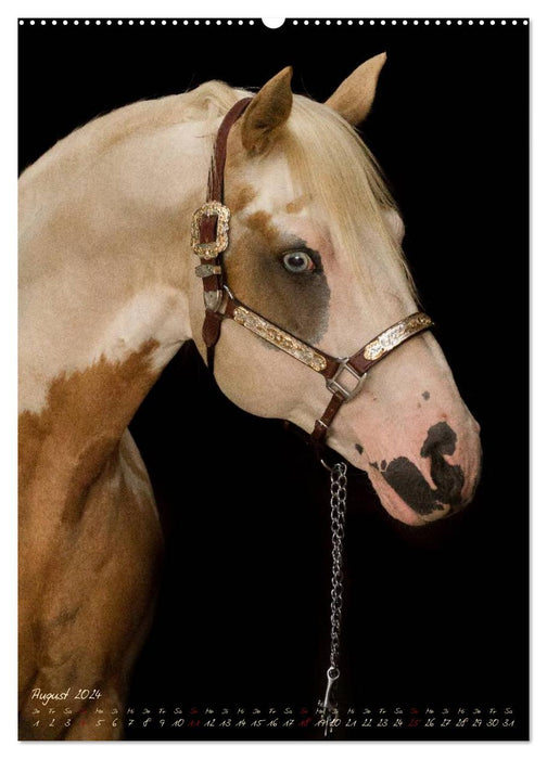 Pferde im Portait (CALVENDO Premium Wandkalender 2024)