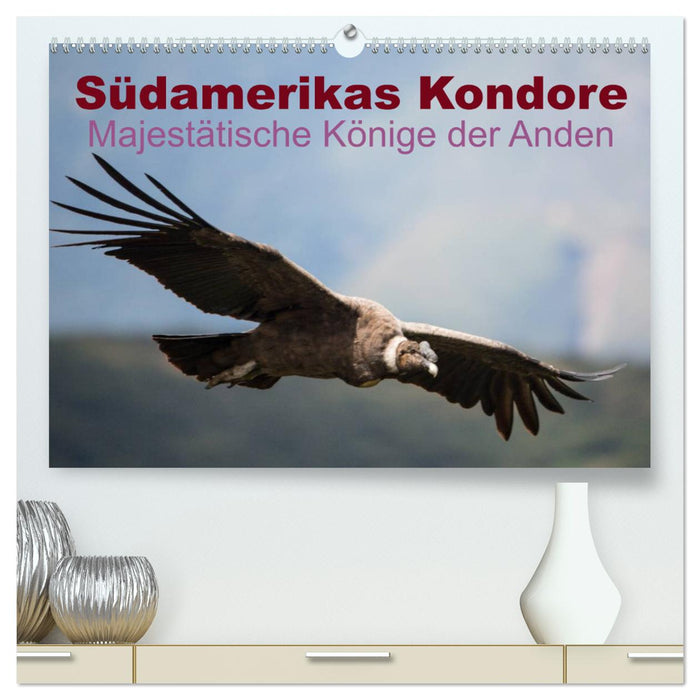 Südamerikas Kondore - Majestätische Könige der Anden (CALVENDO Premium Wandkalender 2024)