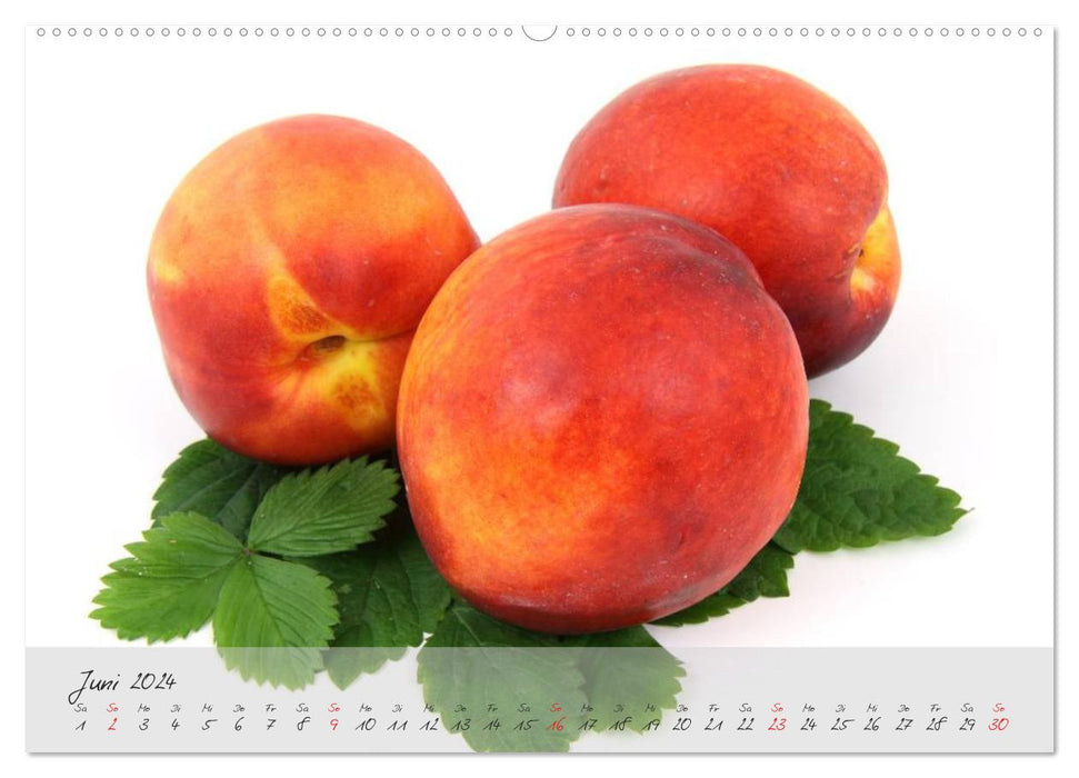 Früchte & Beeren (CALVENDO Premium Wandkalender 2024)