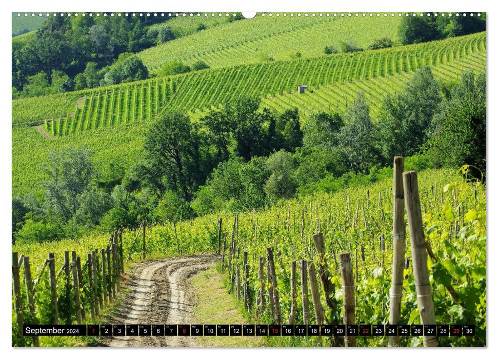 Die Langhe - Im Herzen des Piemonts (CALVENDO Wandkalender 2024)