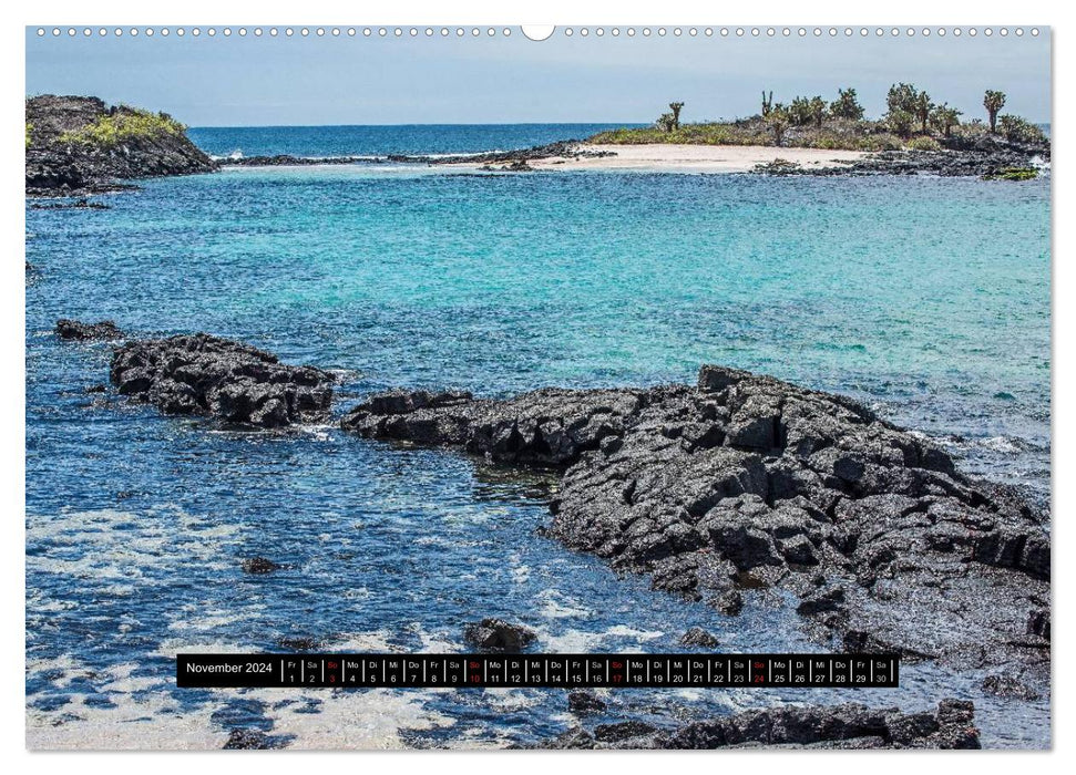 Paysages des Galapagos (Calendrier mural CALVENDO Premium 2024) 