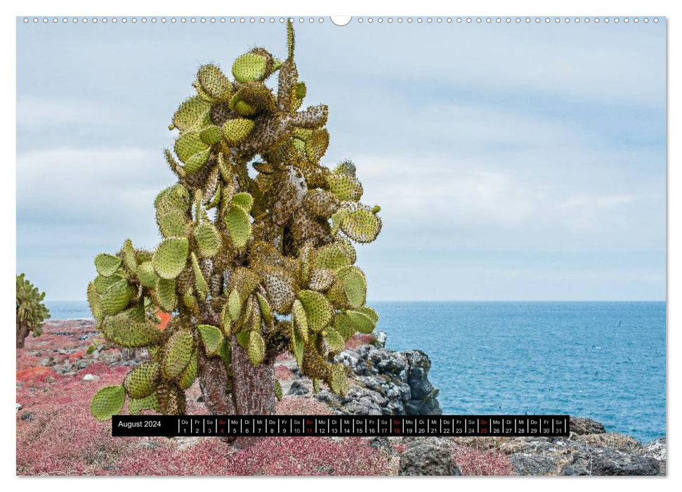 Galapagos landscapes (CALVENDO Premium Wall Calendar 2024) 