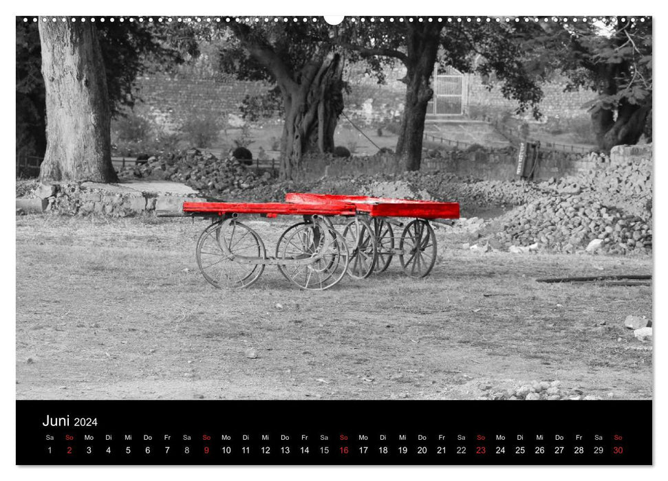 Eye-catcher in red (CALVENDO Premium Wall Calendar 2024) 