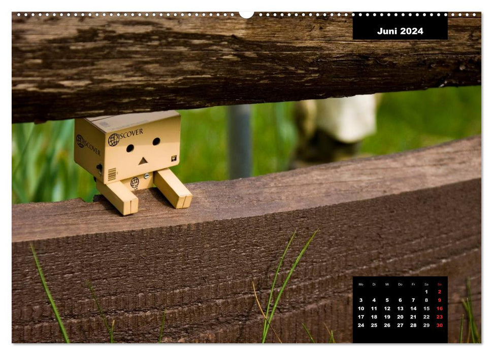 Danbo - A little hero masters his everyday life (CALVENDO Premium Wall Calendar 2024) 