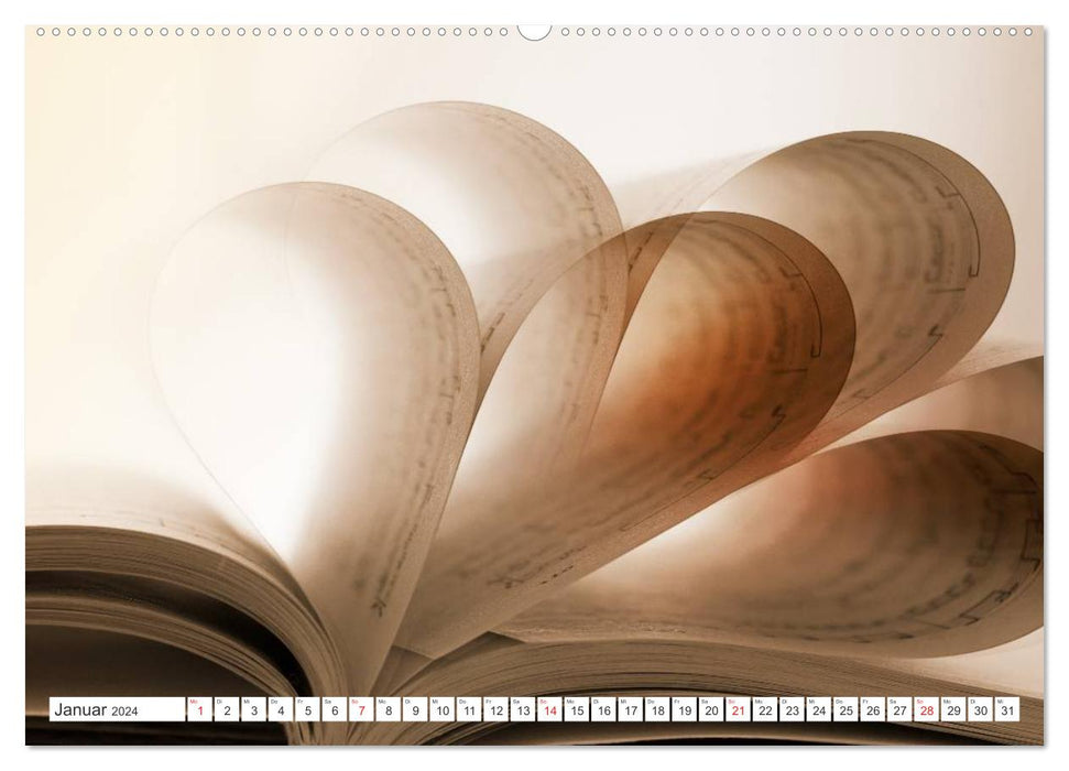 Ars Libri - Kunstwerk Buch (CALVENDO Wandkalender 2024)