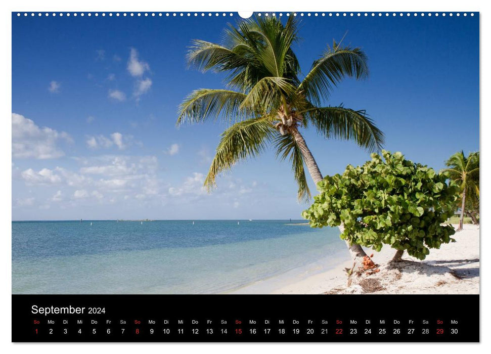Florida - sun, beaches and natural parks (CALVENDO Premium Wall Calendar 2024) 