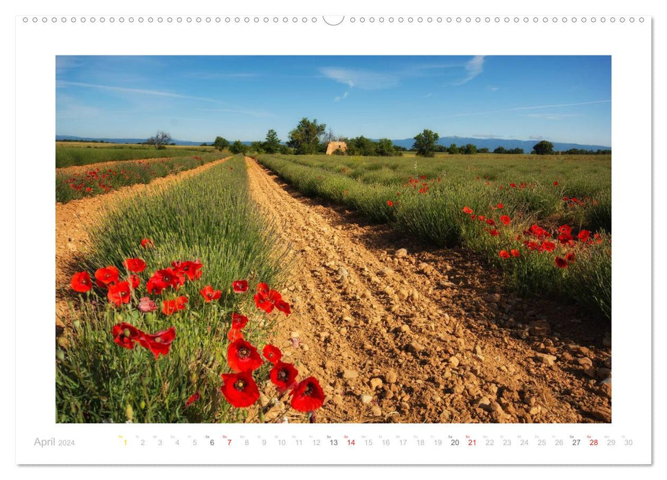 Foray through Provence (CALVENDO wall calendar 2024) 