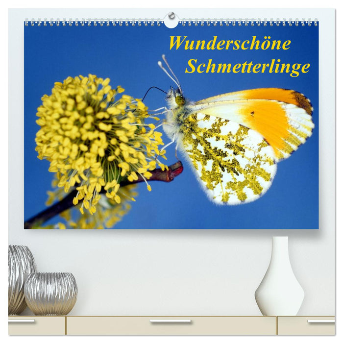 Wunderschöne Schmetterlinge (CALVENDO Premium Wandkalender 2024)