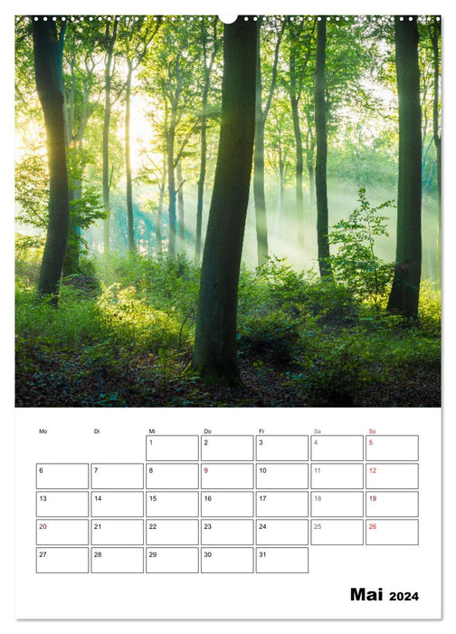 Fantastic Germany - Idyllic Views (CALVENDO Premium Wall Calendar 2024) 