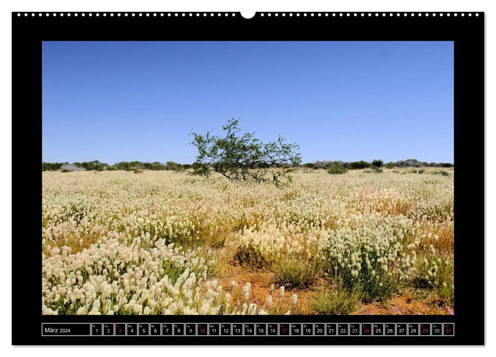 Australie - De Perth à Darwin (Calendrier mural CALVENDO 2024) 