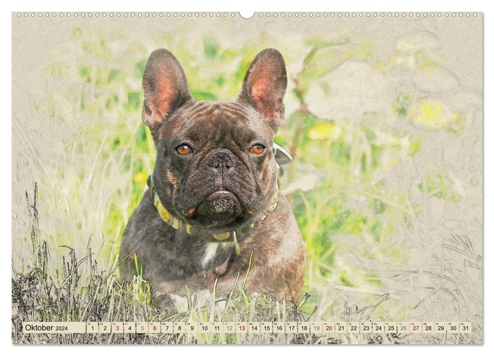 French Bulldogs 2024 (CALVENDO Premium Wall Calendar 2024) 