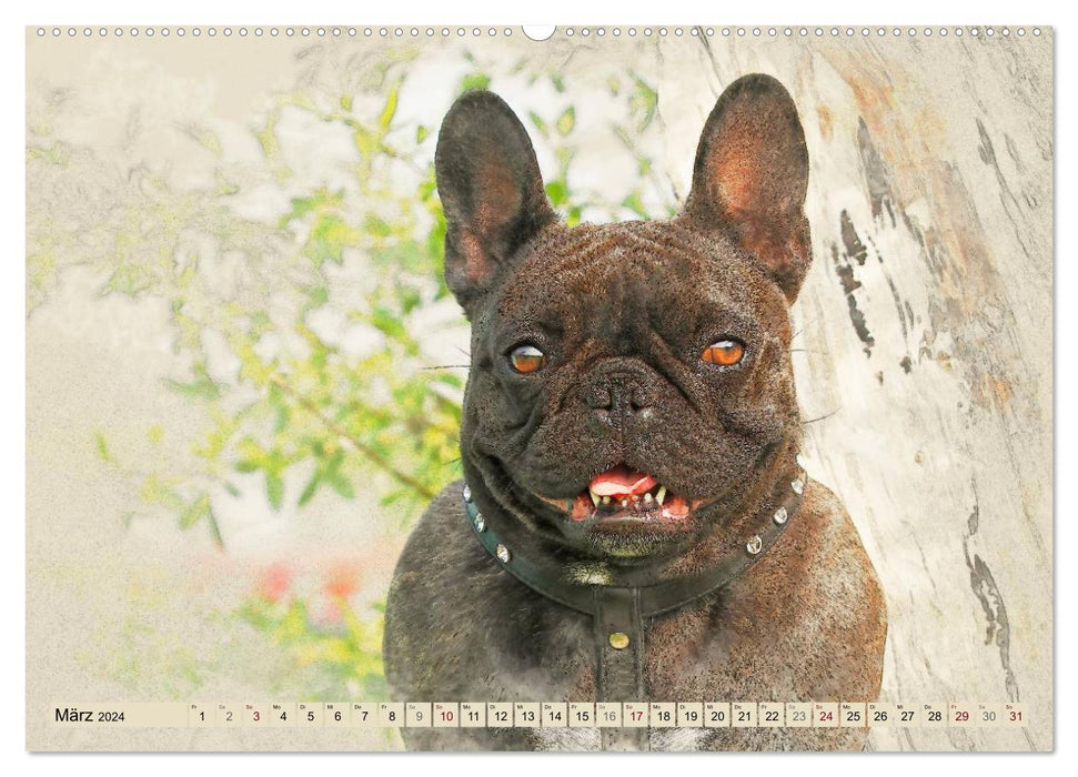 French Bulldogs 2024 (CALVENDO Premium Wall Calendar 2024) 