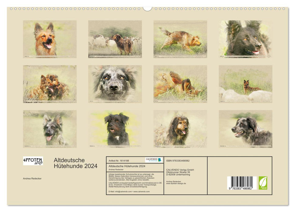 Altdeutsche Hütehunde 2024 (CALVENDO Premium Wandkalender 2024)
